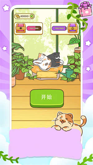 一起走猫步游戏最新版