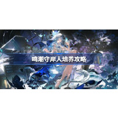 鸣潮守岸人培养攻略