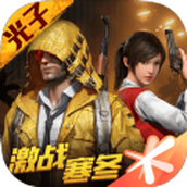 GameForPeace版