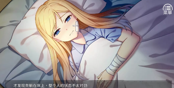 奈的教育日记安装