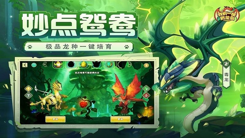 我有一座育龙岛手机版