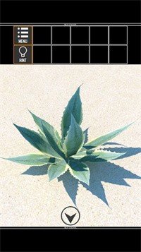 海上荒岛逃生2游戏下载