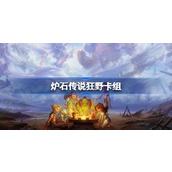 炉石传说狂野卡组一览