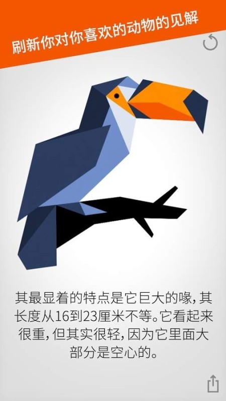 奇特动物拼图游戏安装