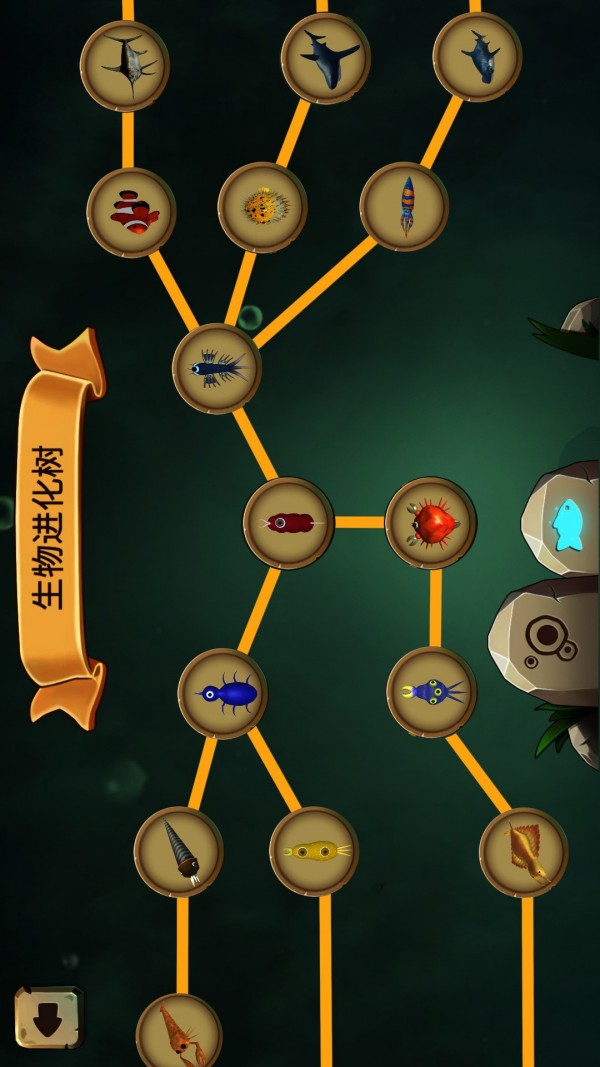 物种进化模拟器版