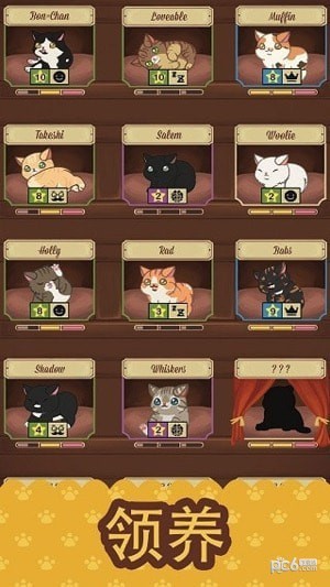 绒毛猫猫咖啡厅版