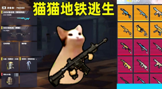 猫猫地铁逃生