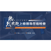 低调沉稳热烈欢迎上级领导莅临检查ppt模板