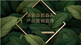 初中毕业典礼PPT模板