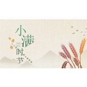 二十四节气小满主题PPT模板