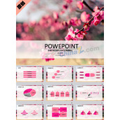 桃花季节ppt模板