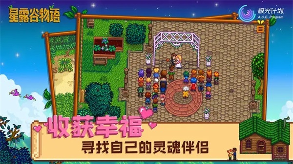 星露谷物语移植版