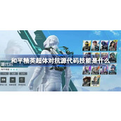 和平精英源代码技能是什么