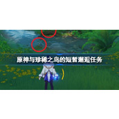 原神与珍稀之鸟的短暂邂逅怎么做
