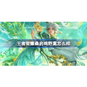 王者荣耀桑启鸣野蒿怎么样