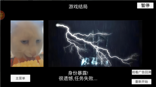 猫猫惊魂夜