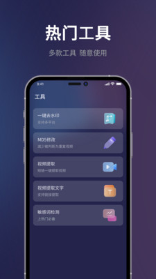 短视频搬运大师专业版下载最新2024