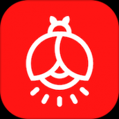 火萤壁纸app下载官网版