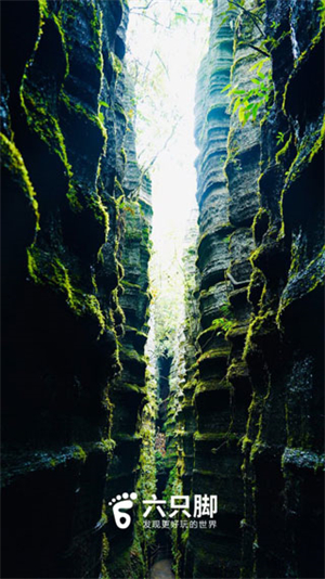 六只脚户外徒步app下载