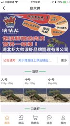 虾大帅