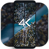 4k wallpapers汉化版动态壁纸app安卓版免费下载安装v3.2.3