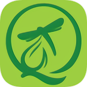 绿蜻蜓云校园平台