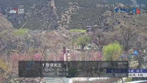 春盈天下电视版