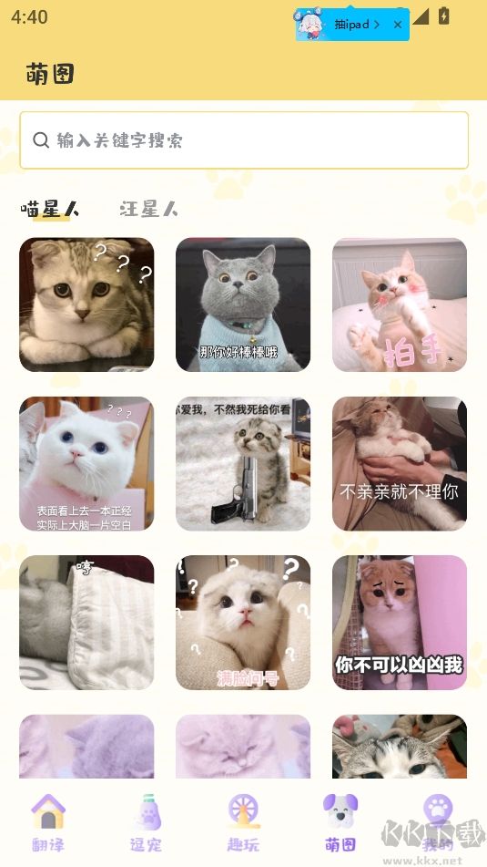 奇奥拉猫语