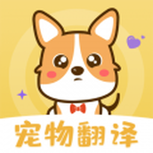 奇奥拉猫语