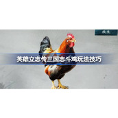英雄立志传三国志斗鸡玩法技巧一览