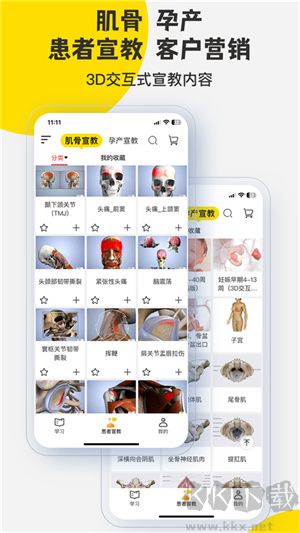 3dbody解剖