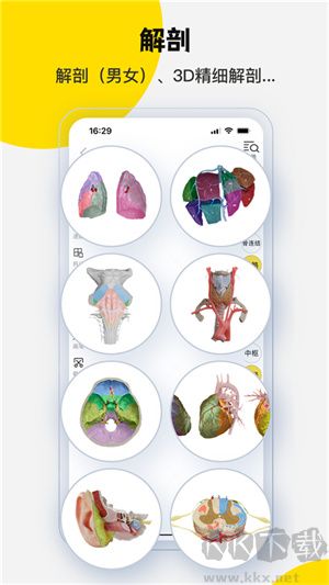 3dbody解剖