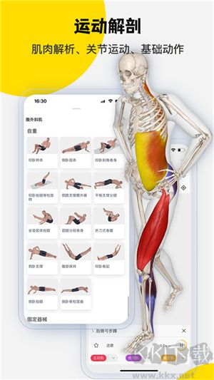 3dbody解剖