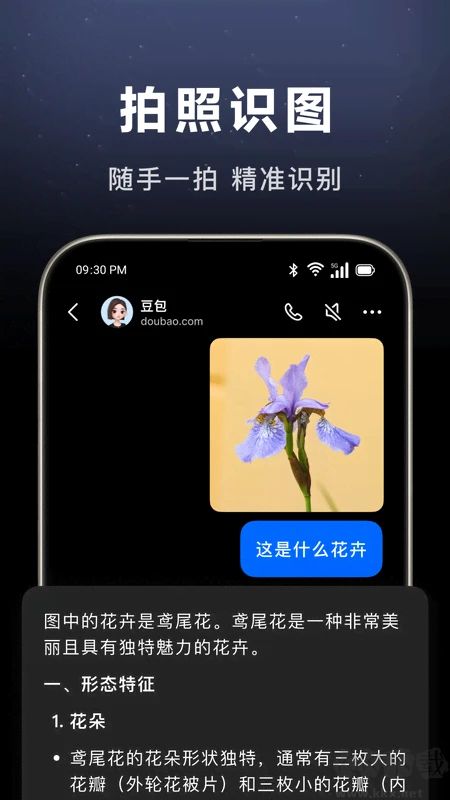 豆包AI