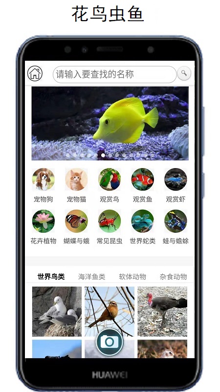 拍照识万物专业版下载v1.508