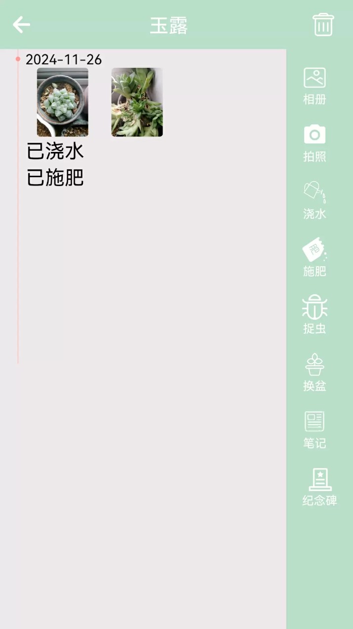 多肉花草日记