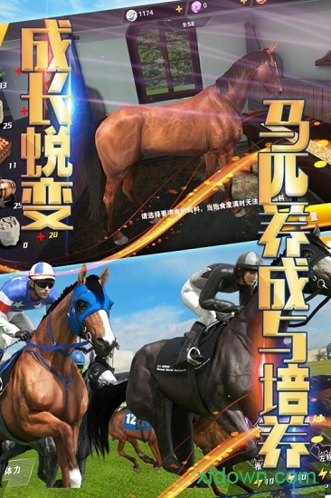 相马大师小米版 相马大师小米版下载