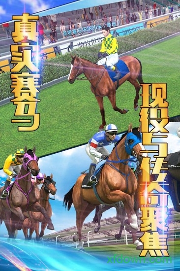 马术比赛 相马大师小米手游下载