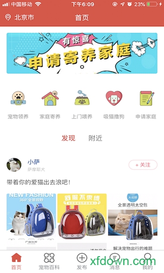 得宠领养app下载