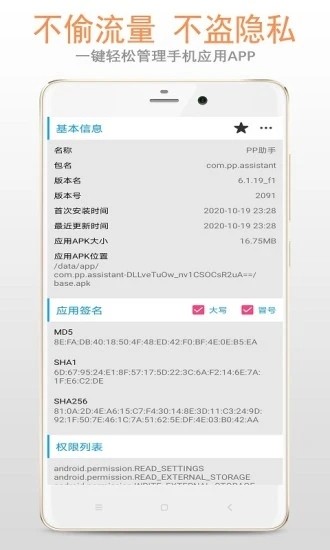 小龙