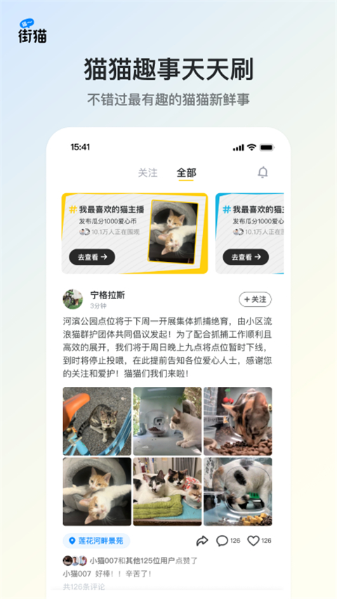 哈啰街猫官网版下载