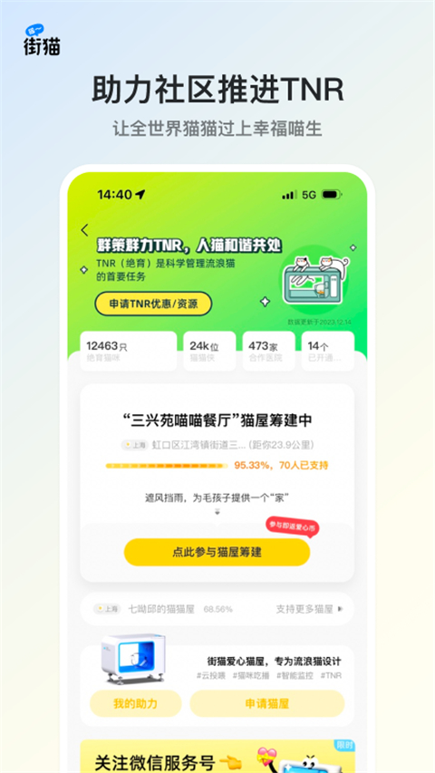 哈啰街猫官网版下载