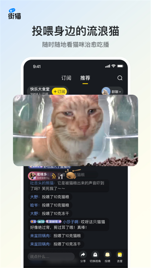 哈啰街猫官网版下载