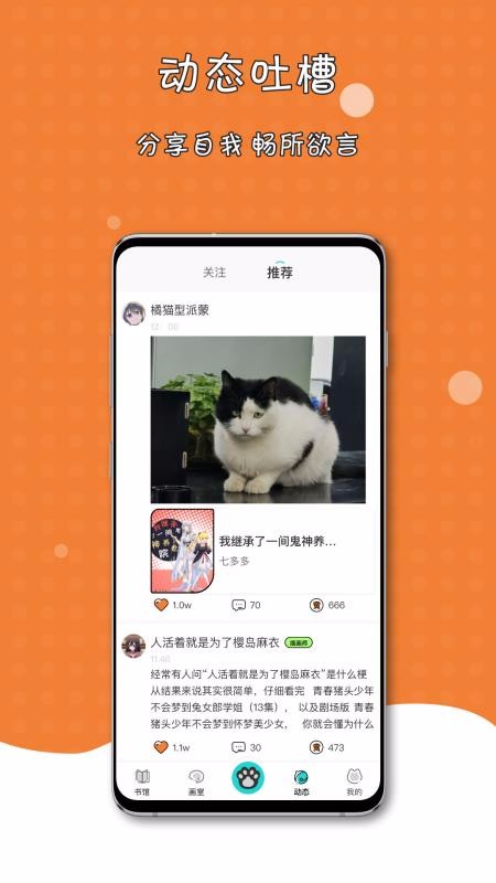 橘子猫