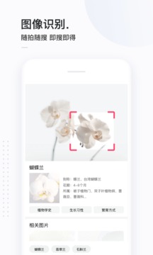 简单搜索app下载安装免费版