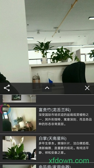 拍照识花
