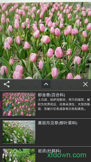 拍照识花