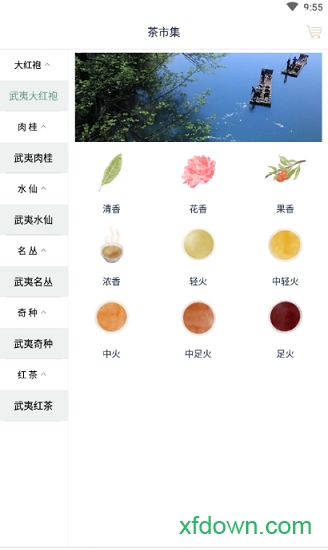 茶知了