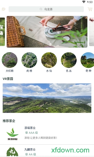 茶知了