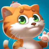 我的皮皮猫‌